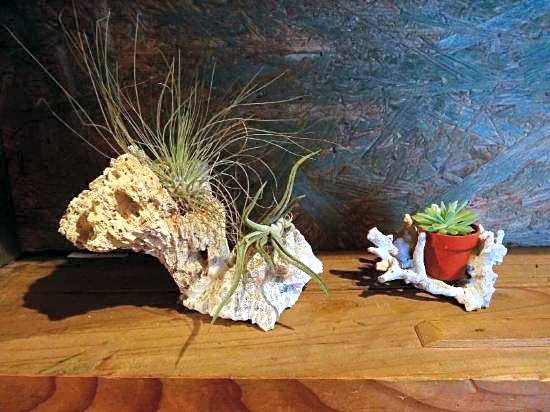 Goyah-so Guesthouse