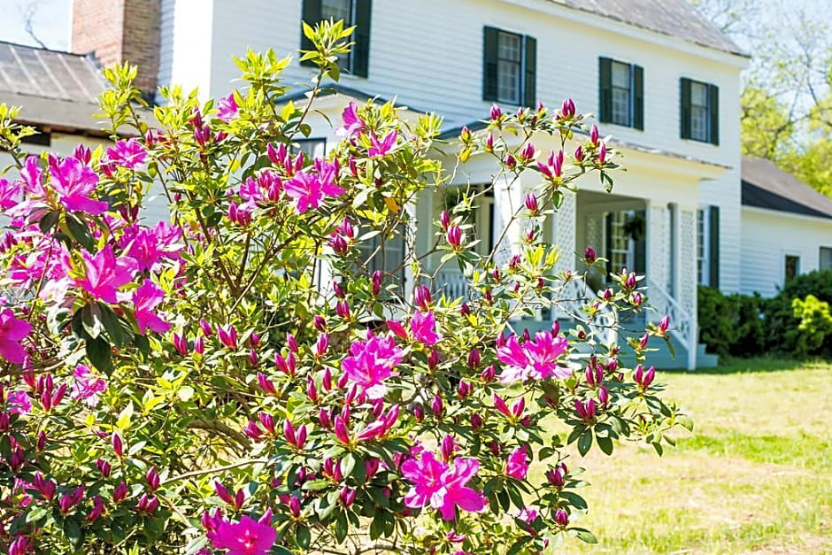 Oak Grove Bed and Breakfast