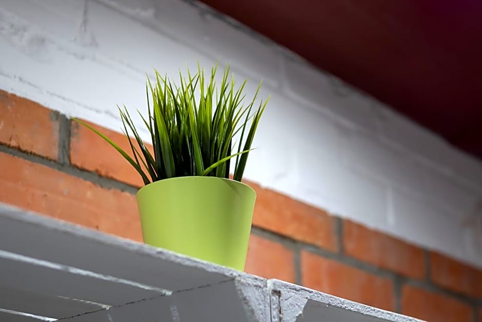 Ośrodek wypoczynkowy - Wczasy w Cichowie