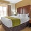 Comfort Inn & Suites Griffin