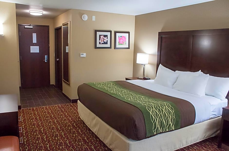 Comfort Inn & Suites Artesia