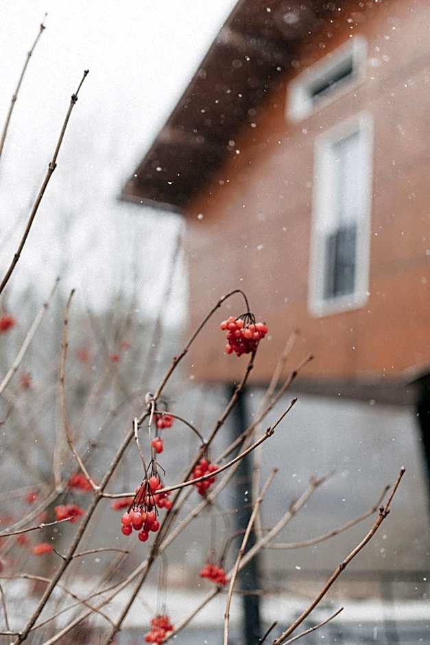 Wellness Hotel Split