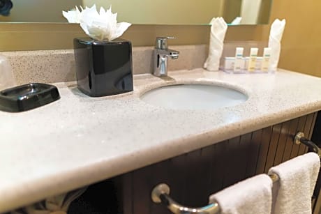 1 KING BED ROOM CITY VIEW