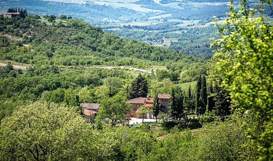 Le Cetinelle