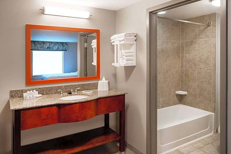 Hampton Inn By Hilton & Suites Salida