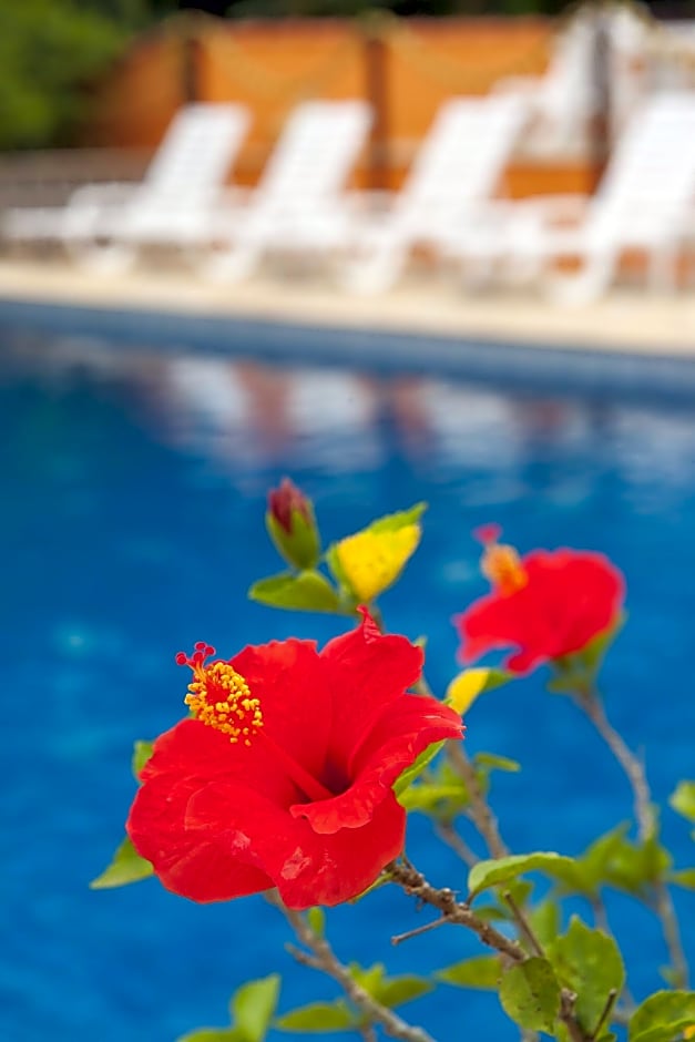 Hotel Pousada Ilhasol