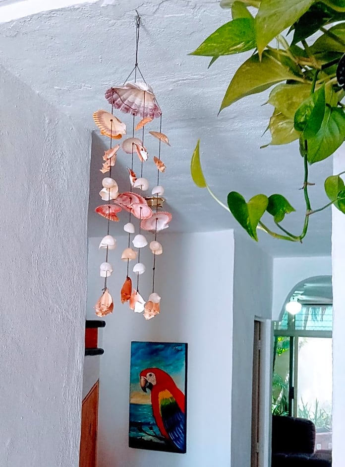 My Local Home Vallarta