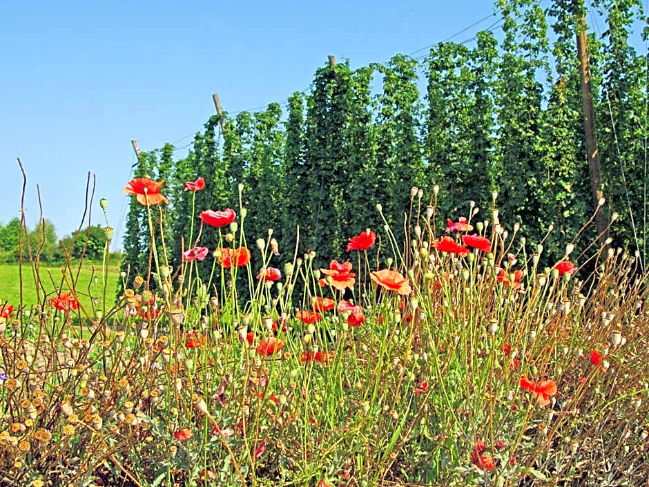 Krone - Hotel Garni