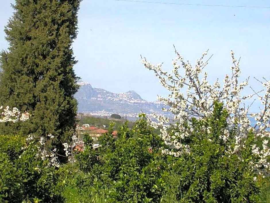 Baglio Delle Rose