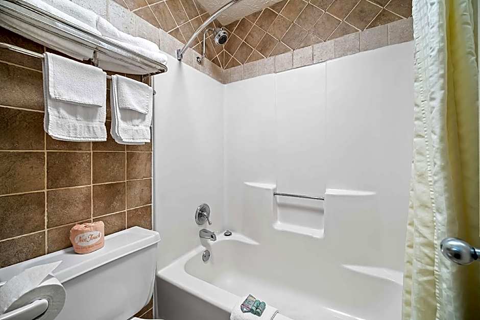 Best Western Braselton Inn