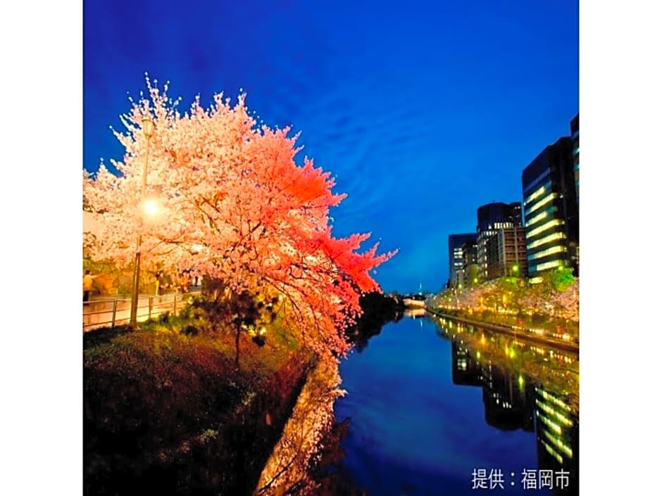 Court Hotel Fukuoka Tenjin - Vacation STAY 42328v