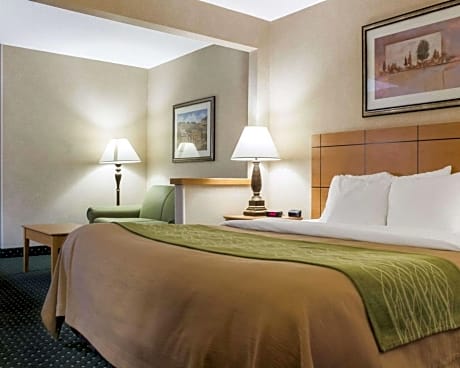 1 King Bed, Suite, Nonsmoking