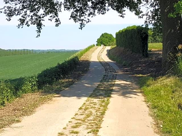 Boslucht Leuven