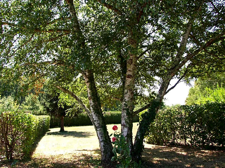 Les Feuillantines Perigord Noir