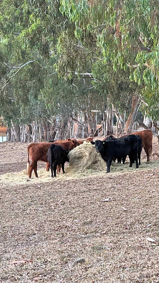 Farm Stay Picturesque views