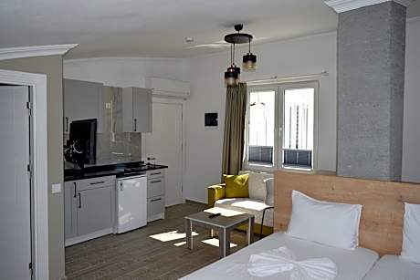 Studio Mountain View