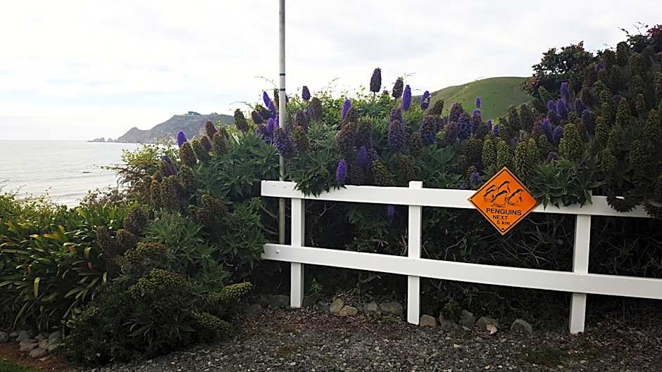 Kaka Point Spa Accommodation - Catlins