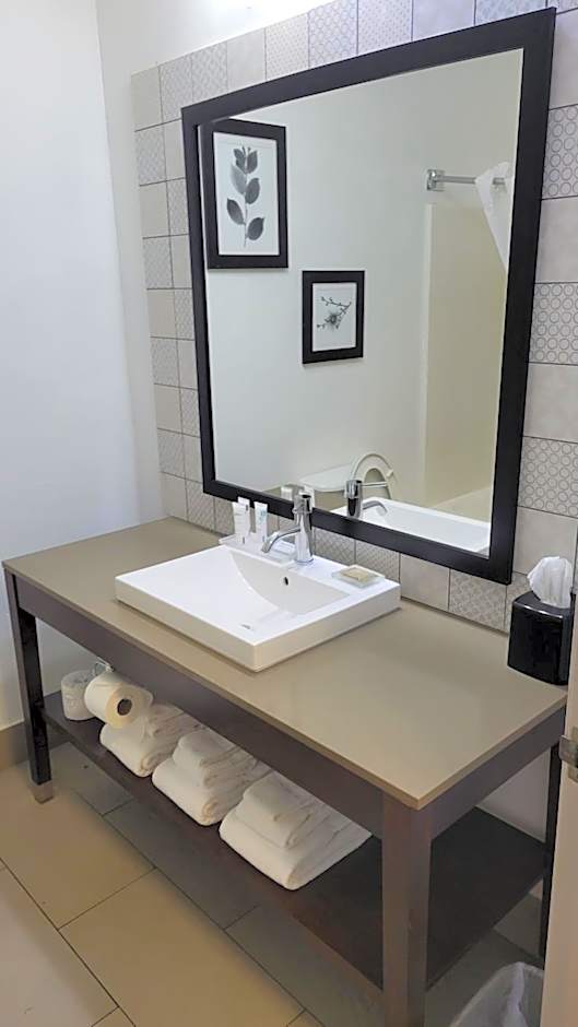 Country Inn & Suites by Radisson, McDonough, GA