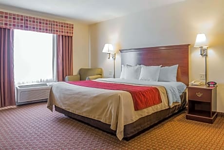 1 King Bed, Suite, Nonsmoking