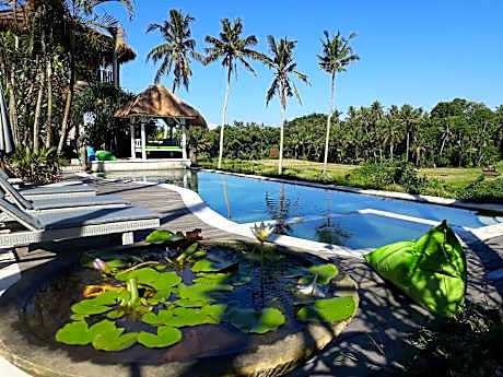 Coco verde bali