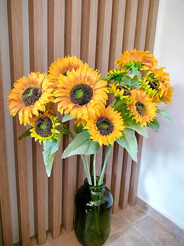 Anassa Deluxe Apartments & Studios