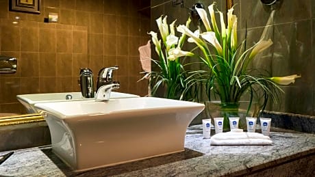 2 Single Beds Non-Smoking Air-Conditioned Tea And Coffee Making Facilities Wi-Fi Safe Iron And Ironi