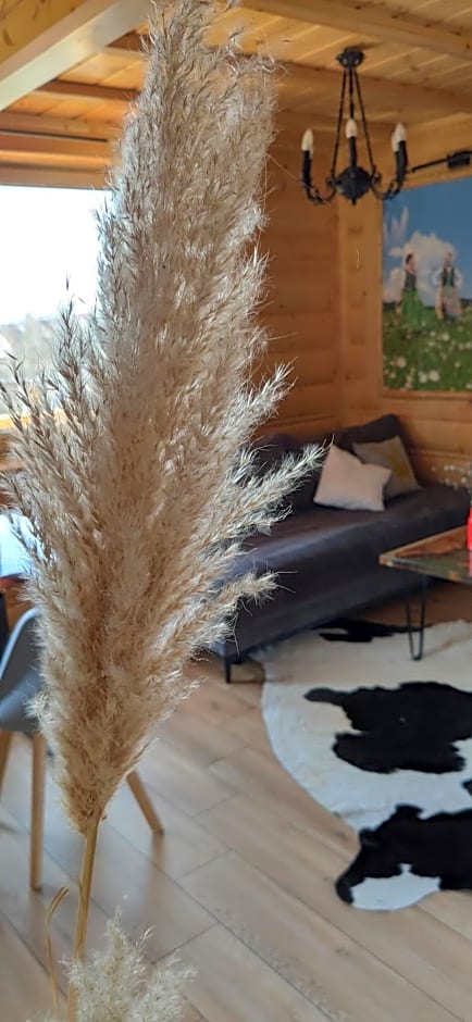 Góralskie Domki na Podhalu - z jacuzzi