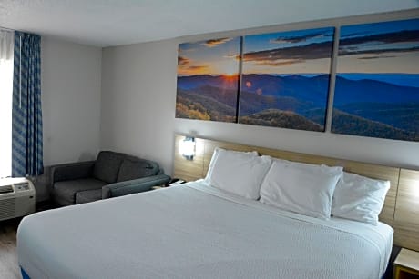 1 King Bed Efficiency Non-Smoking