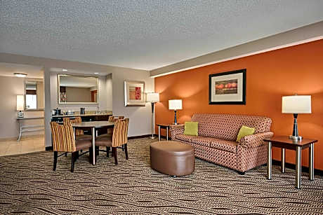 1 KING BED 1 BDRM W/OTHER FEATURES NONSMOKING