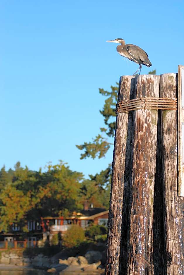 Galiano Oceanfront Inn & Spa