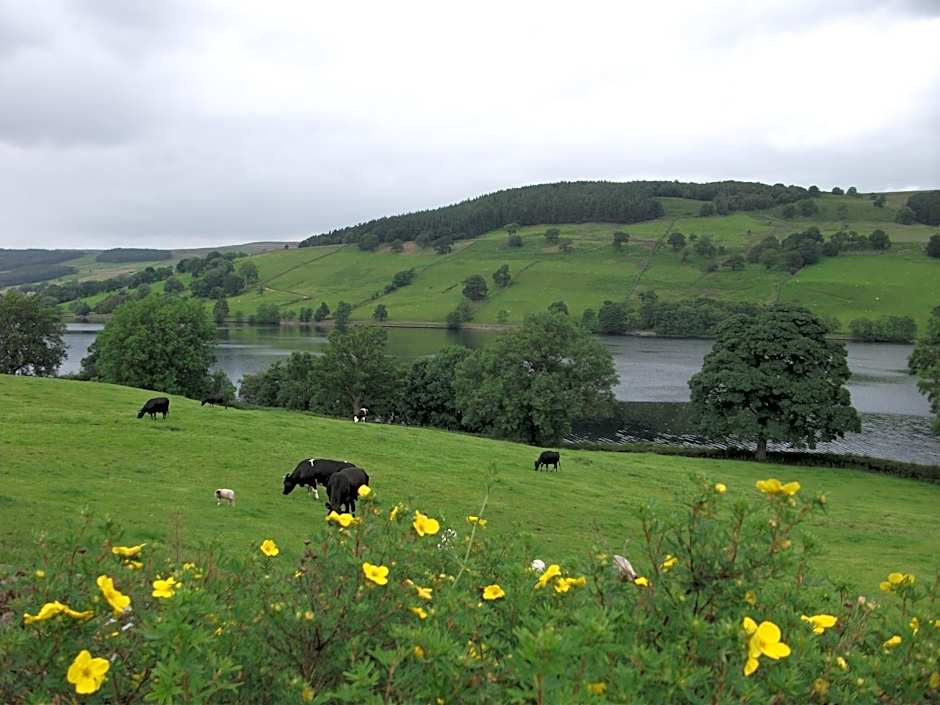 THE FIRS B&B &TEA ROOM