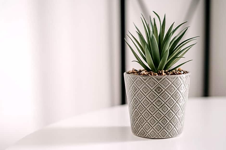 Sea Sailing Apartments