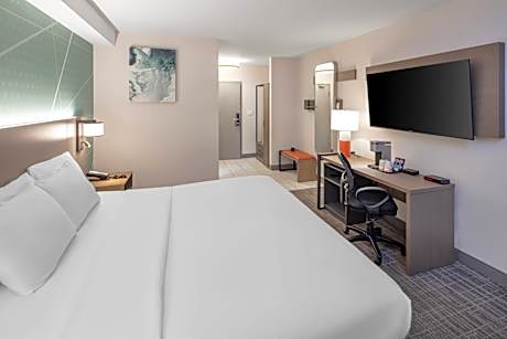 1 King Bed, Nonsmoking