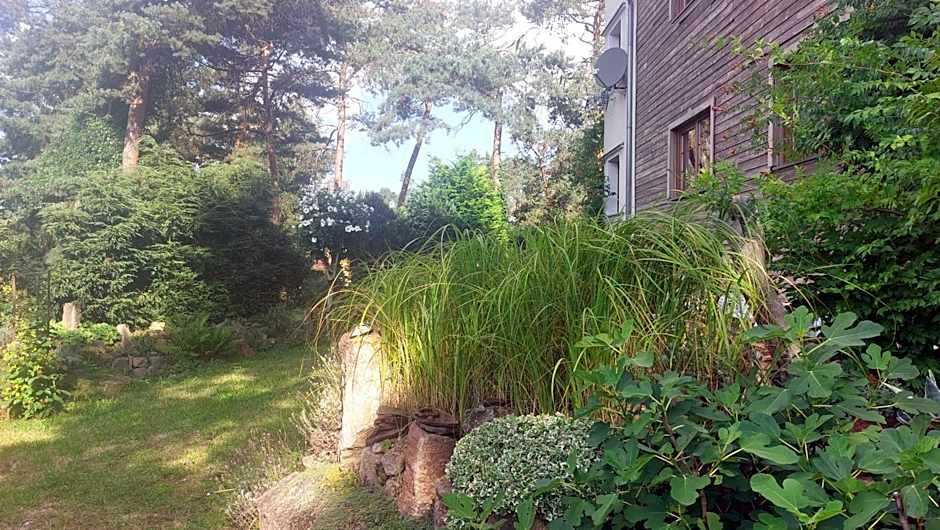 Apartmány FELSENBURG Staré Splavy