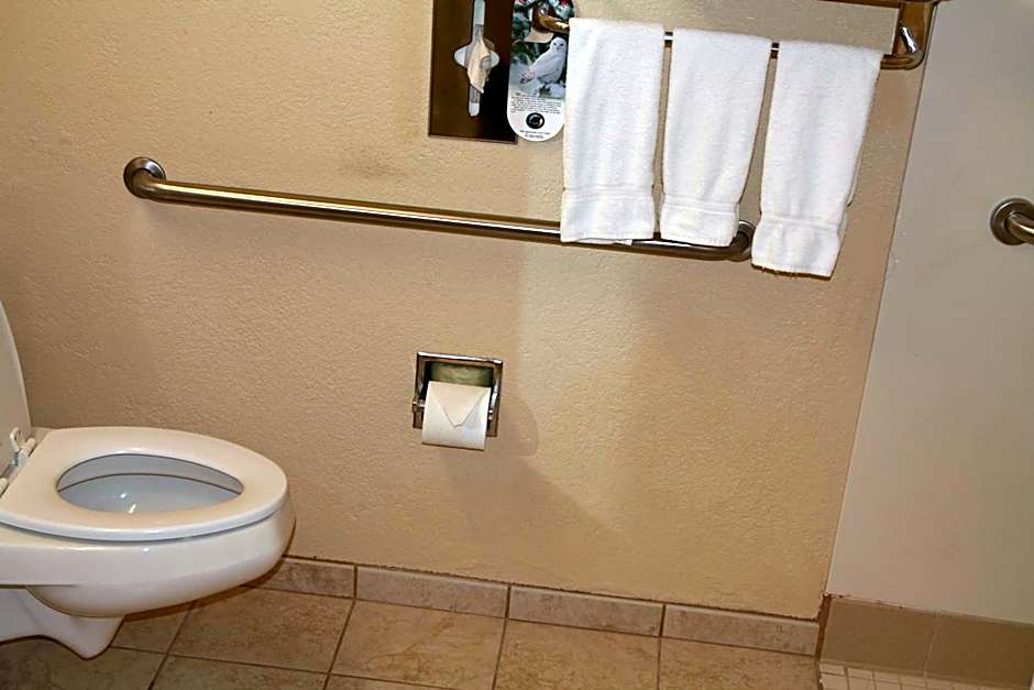Holiday Inn Express Union City (San Jose) by IHG