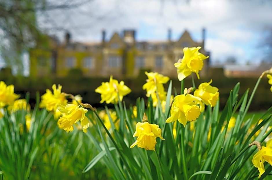 Gisborough Hall Hotel