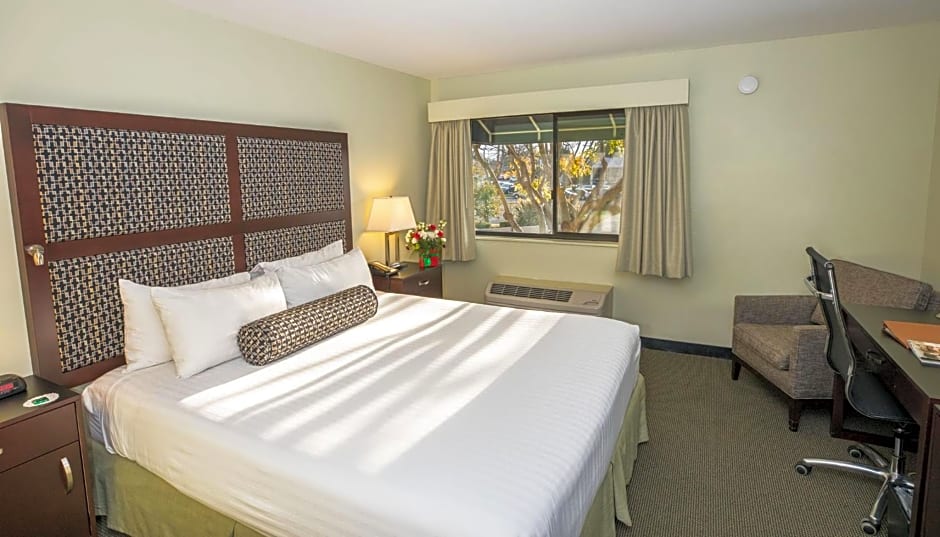 Maple Tree Inn
