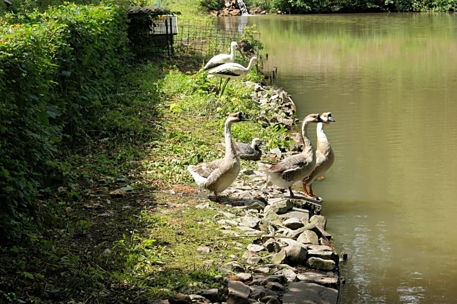 Hotel Restaurant Muckensee