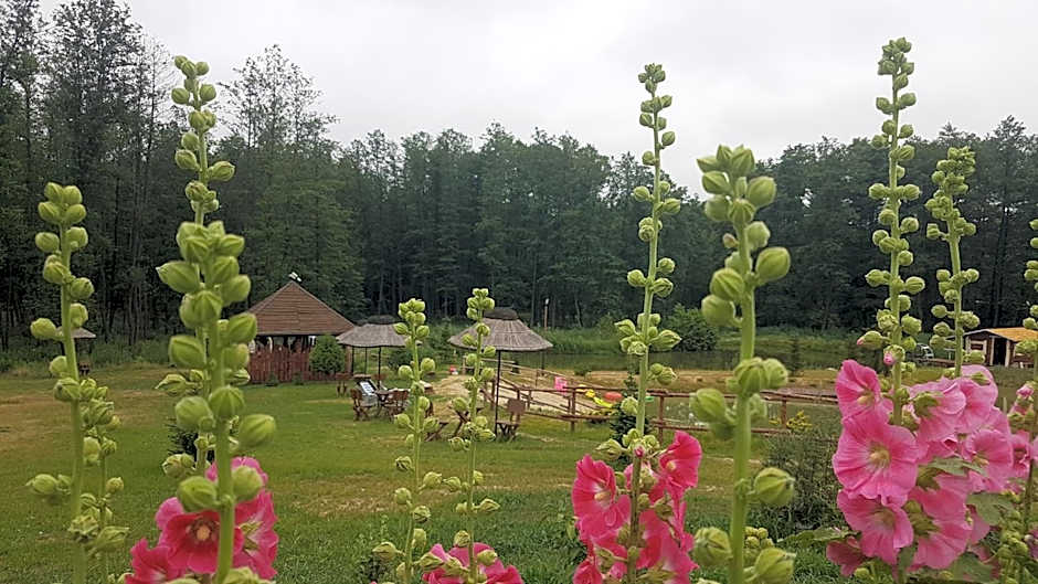 Agroturystyka Perła Gaju