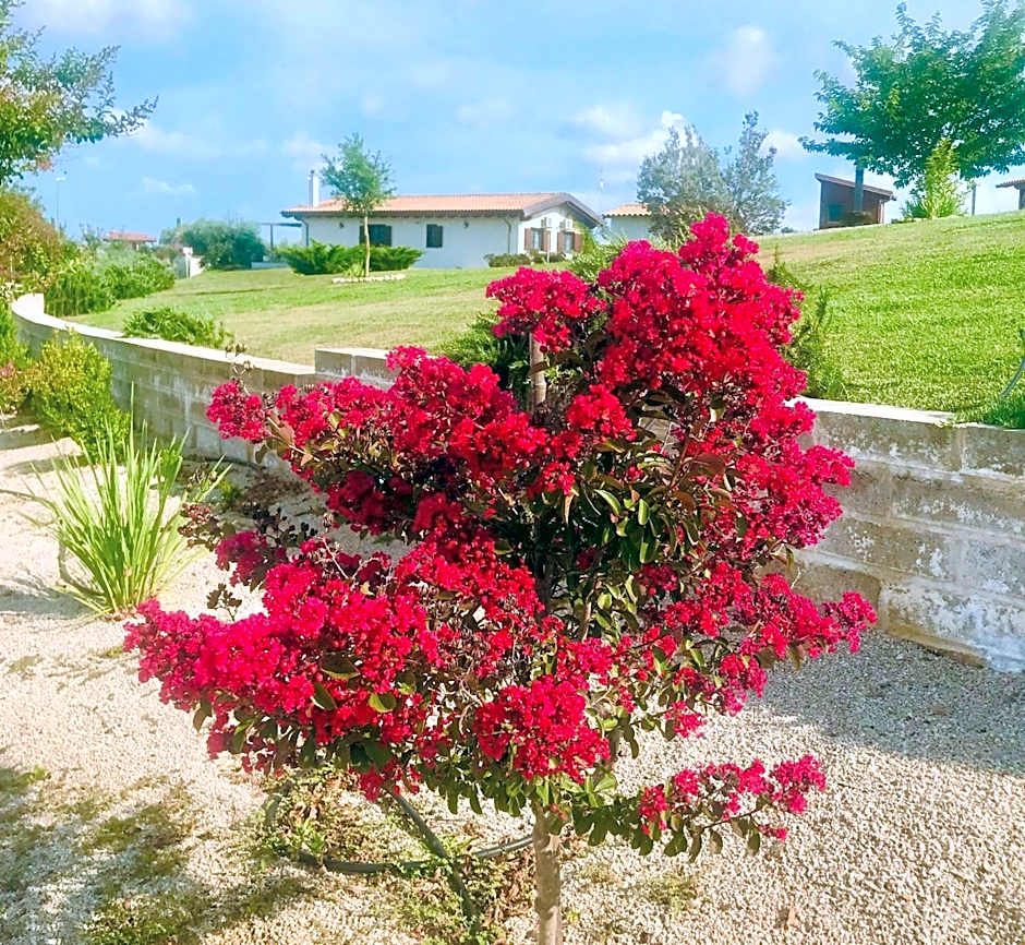 La collina delle fonti