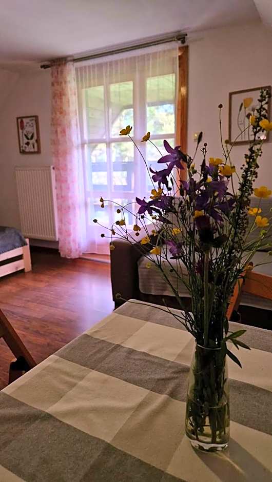 Dach Pod Sową