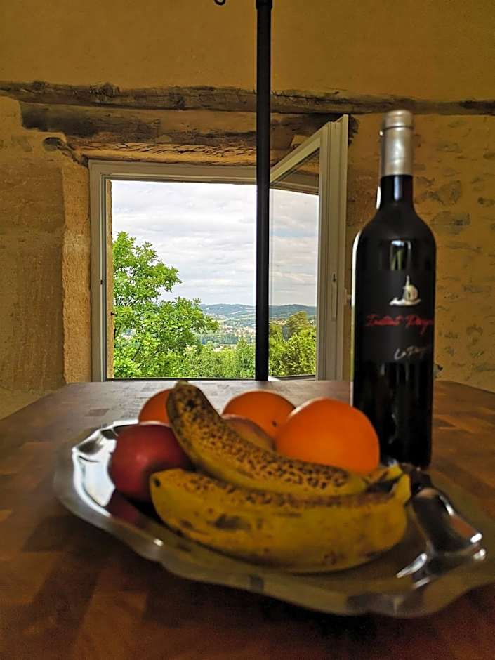 Domaine de Lascaux