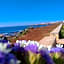 B&B Giallolumia