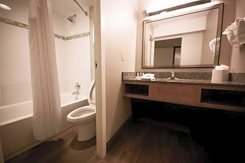 Holiday Inn Raleigh Downtown By IHG