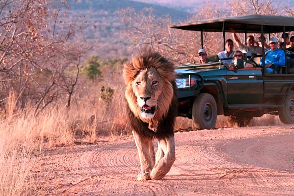 Makweti Safari Lodge