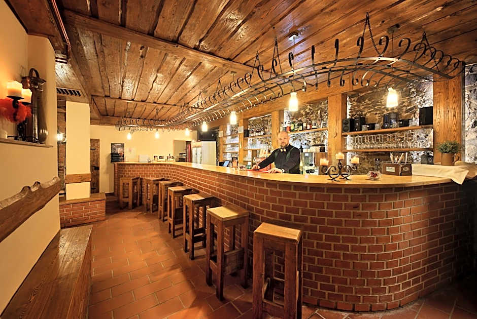 Záviš z Falkenštejna