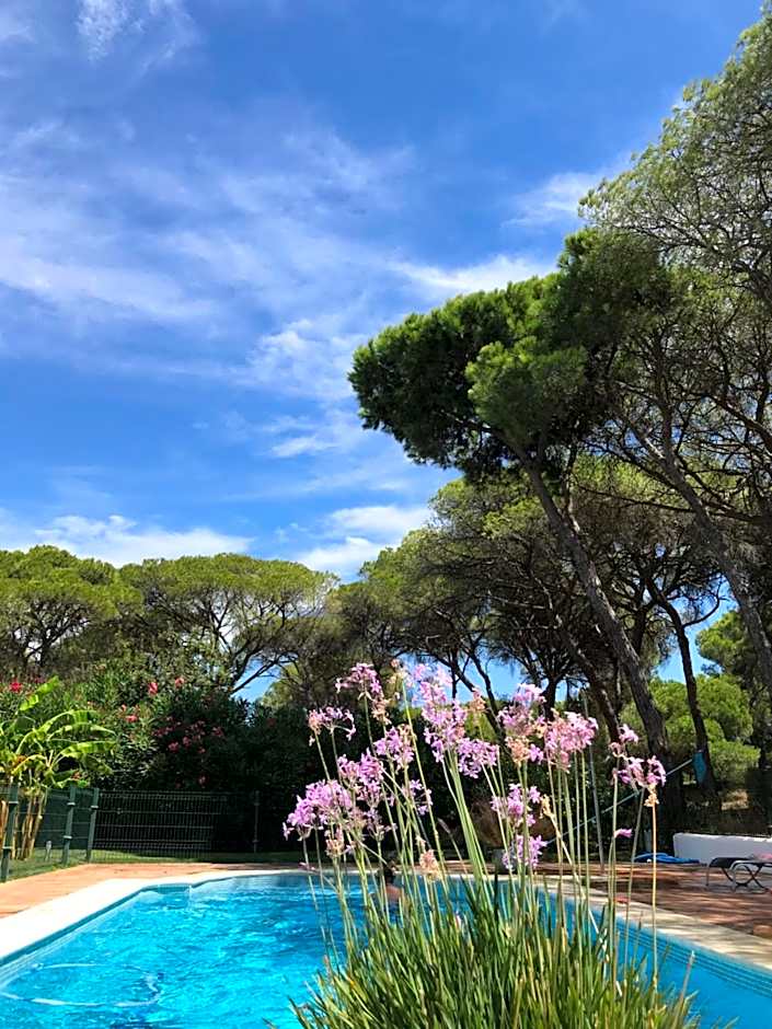 VILLA de la LUZ