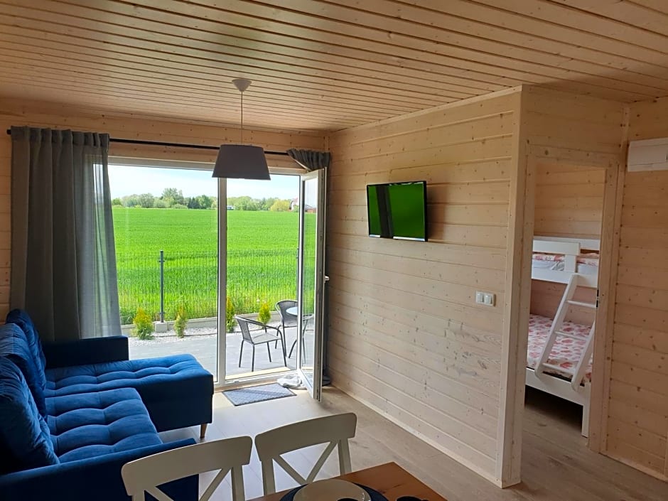 Szara Gąska w Gąskach