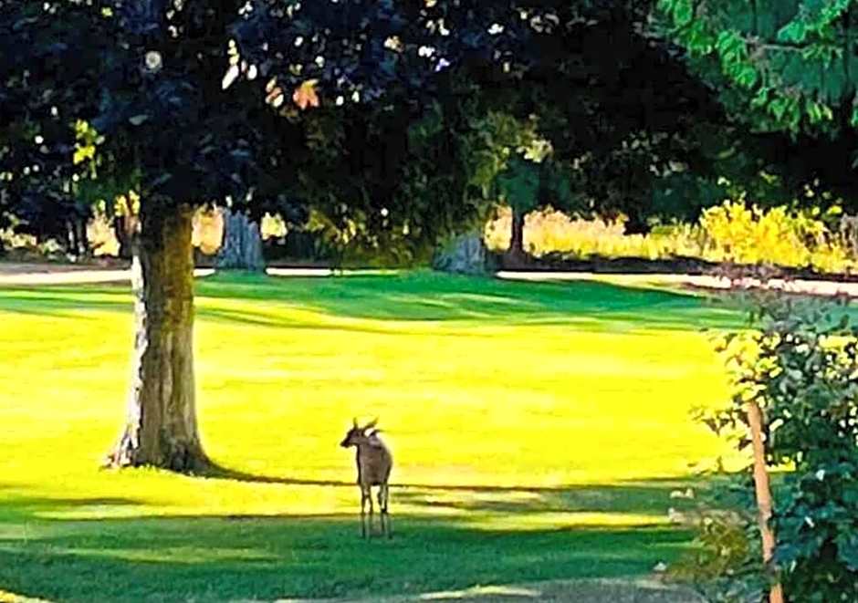 Oceanside Manor - Golf Course View