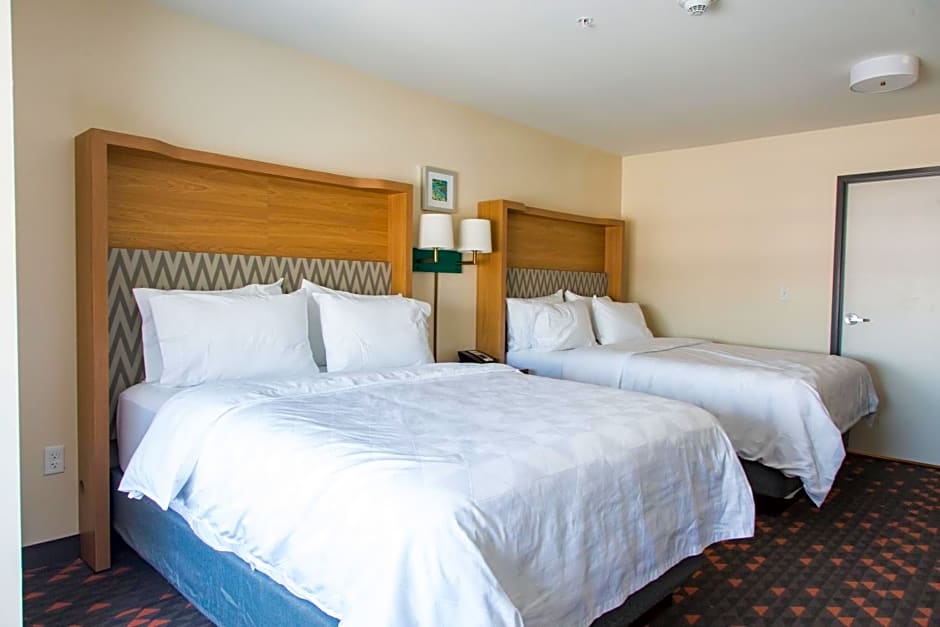 Holiday Inn Hotel & Suites - Mount Pleasant